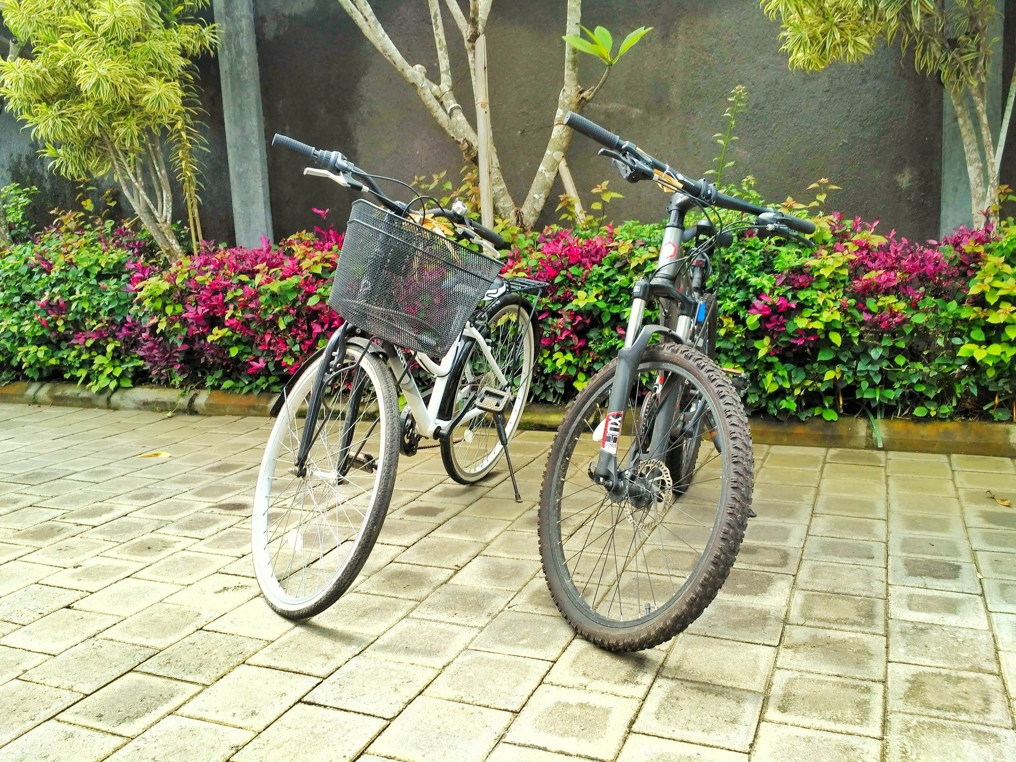 Amelle Villas&Residences Canggu Exterior foto